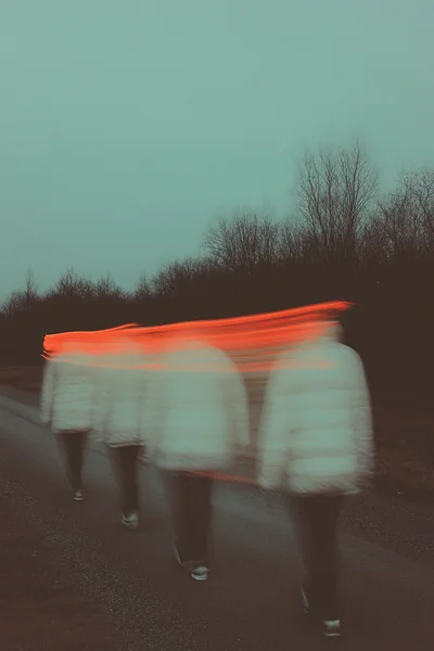 Surreal Winter Fashion Butterflies
