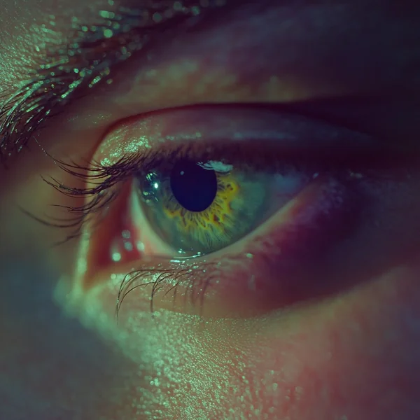 Green Eye Macro with Screen Reflection